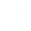 dimensione del campione